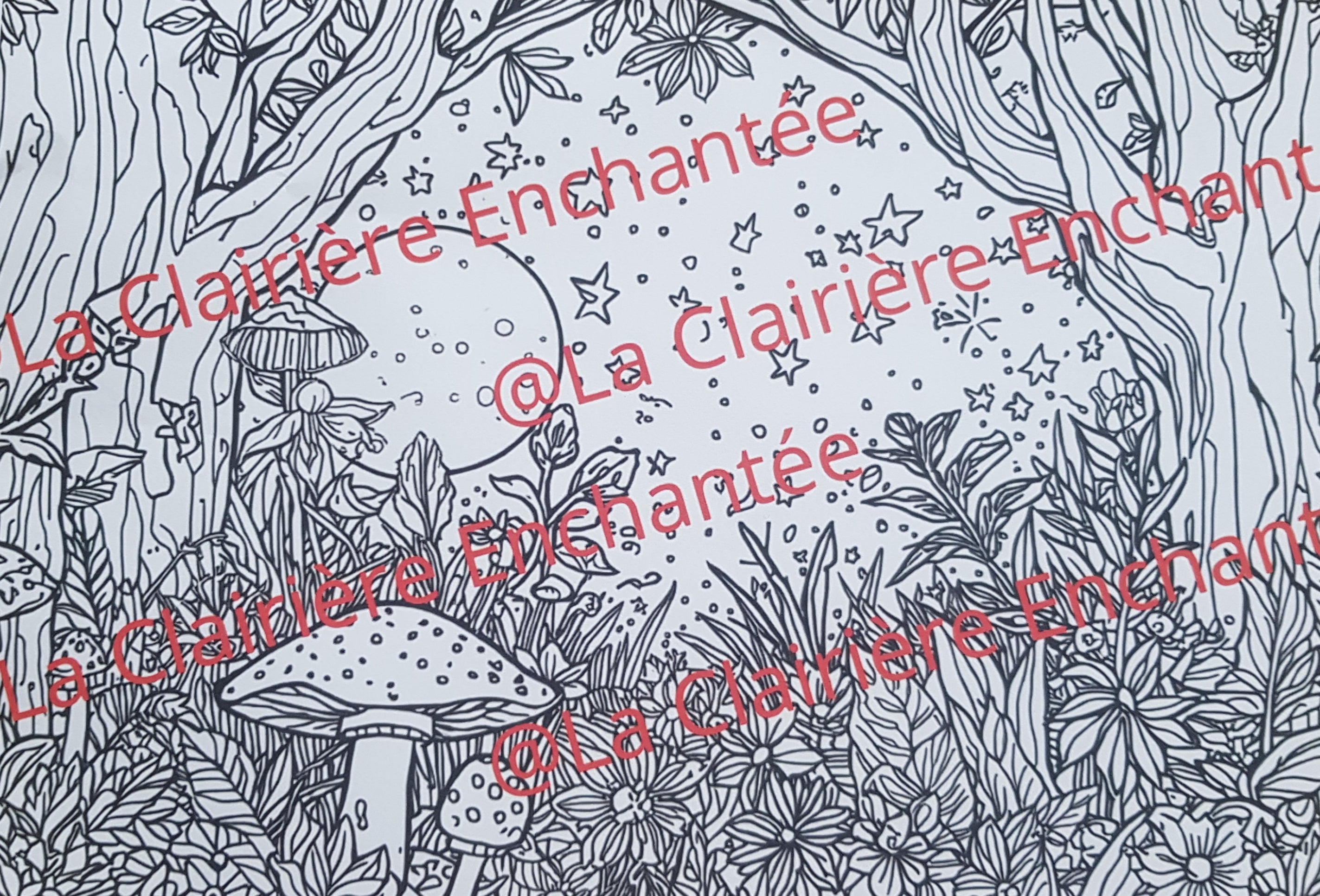 "Promenade au Clair de Lune"