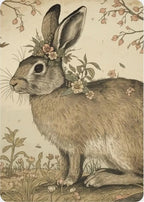 "Hello Spring"