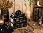 Black Cat Book
